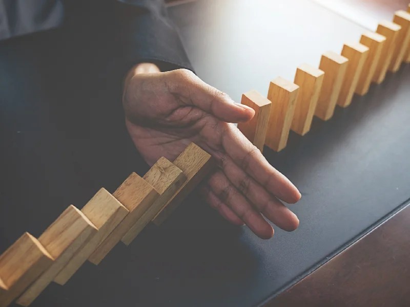 Consultoria de Gerenciamento de Riscos de Processos e Negócios - Camargo Consultores Associados